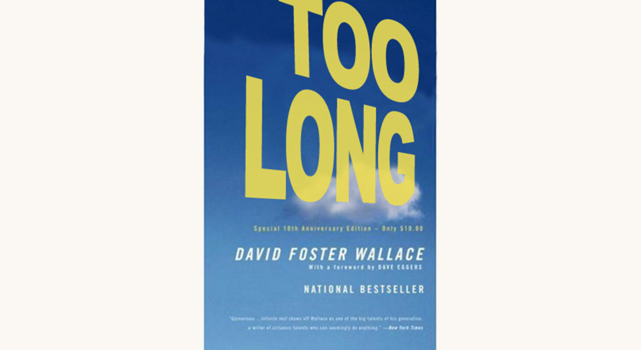 David Foster Wallace: Infinite Jest