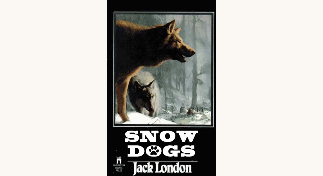 Jack London: The Call of the Wild - "Snow Dogs"