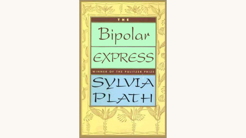 Sylvia Plath: The Collected Poems - "The Bipolar Express"