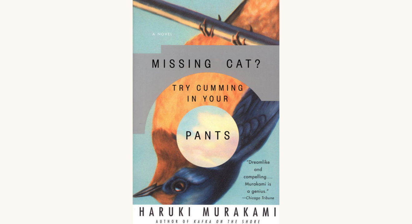 Haruki Murakami: The Wind-Up Bird Chronicle - "Missing Cat? Trying Cumming In Your Pants"