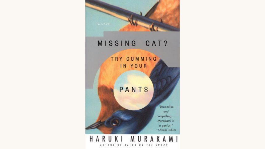 Haruki Murakami: The Wind-Up Bird Chronicle - "Missing Cat? Trying Cumming In Your Pants"