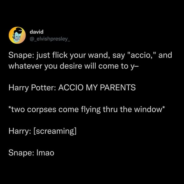 Funny Harry Potter memes, jokes about Hermione, harry, Ron, Hogwarts, lol, jokes, ya, young adult fiction, better book titles