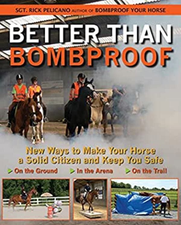 bombproof your horse, Funny weird real book covers, real titles that actually got published, dumb, strange, books, literature, better book titles