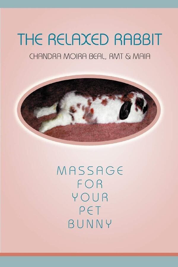 rabbit massage book, Funny weird real book covers, real titles that actually got published, dumb, strange, books, literature, better book titles