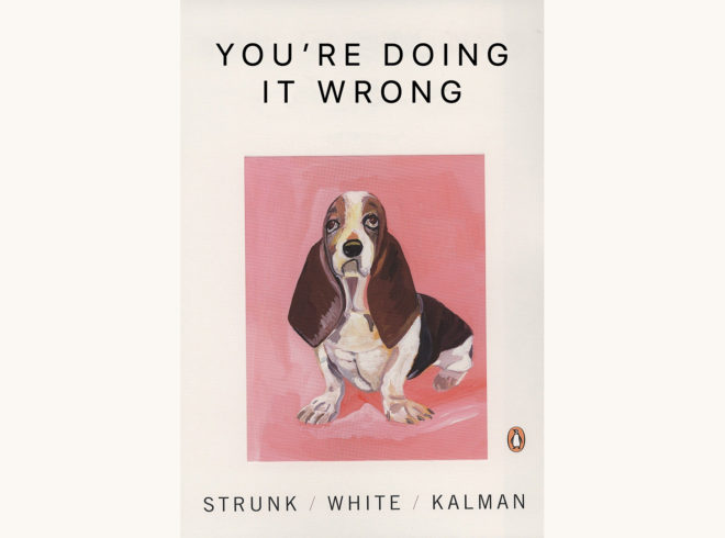 Strunk And White: The Elements of Style - "You're Doing It Wrong"