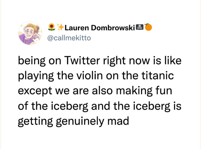 elon musk is the ice berg that sank the titanic and is mad